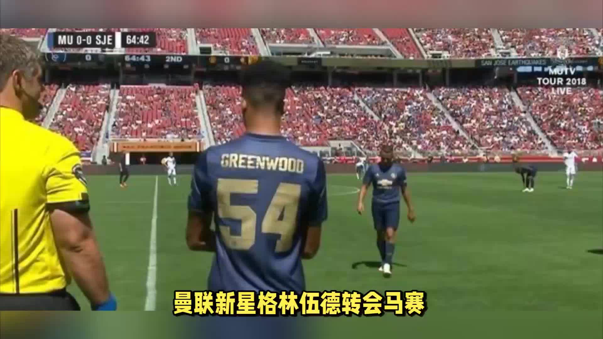 引进国